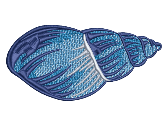 Blue Sea Snail Shell Design: A Delicate Touch for Personalized Gifts